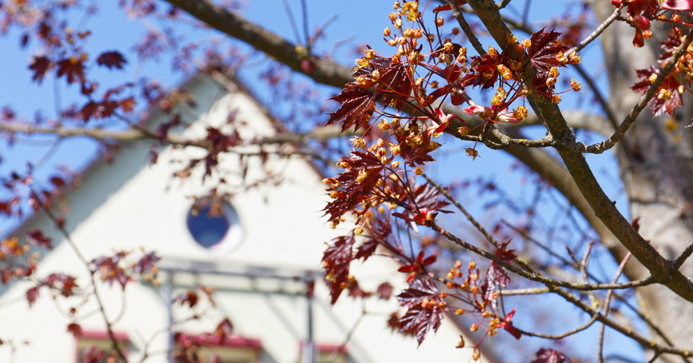 Betreutes Wohnen für Senioren Max-Saupe-Straße | Herbst