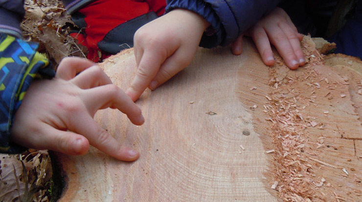 Kindertagesstätte Rote Schule